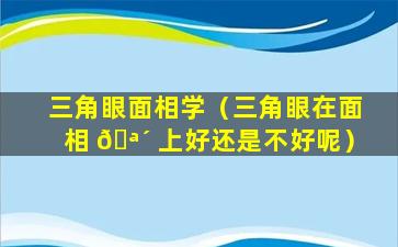 三角眼面相学（三角眼在面相 🪴 上好还是不好呢）